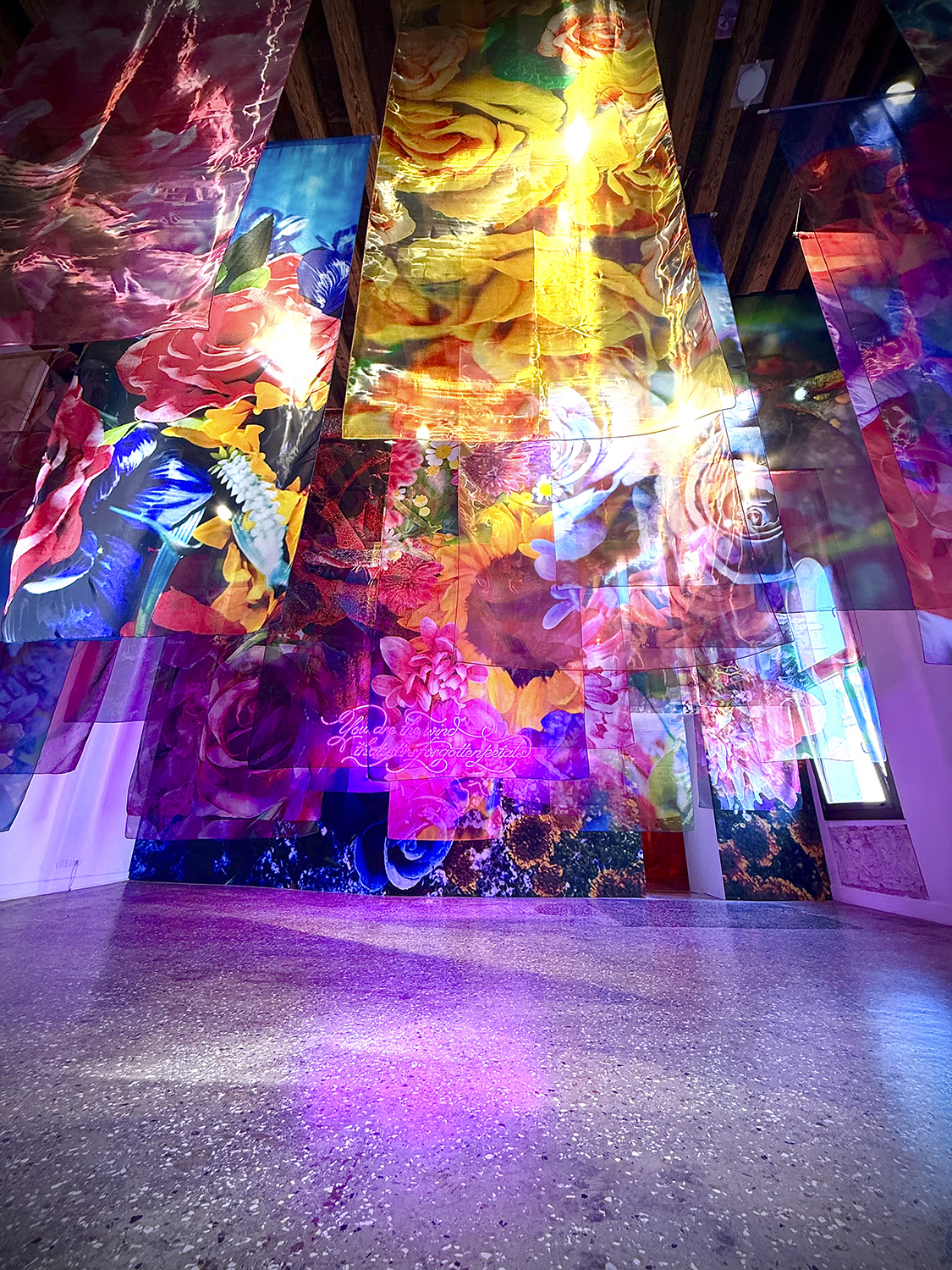 海外最大規模「蜷川實花展」在台灣!睽違10年登台,8大夢幻光影展區搶先看 海外最大規模「蜷川實花展」在台灣!睽違10年登台,8大夢幻光影展區搶先看