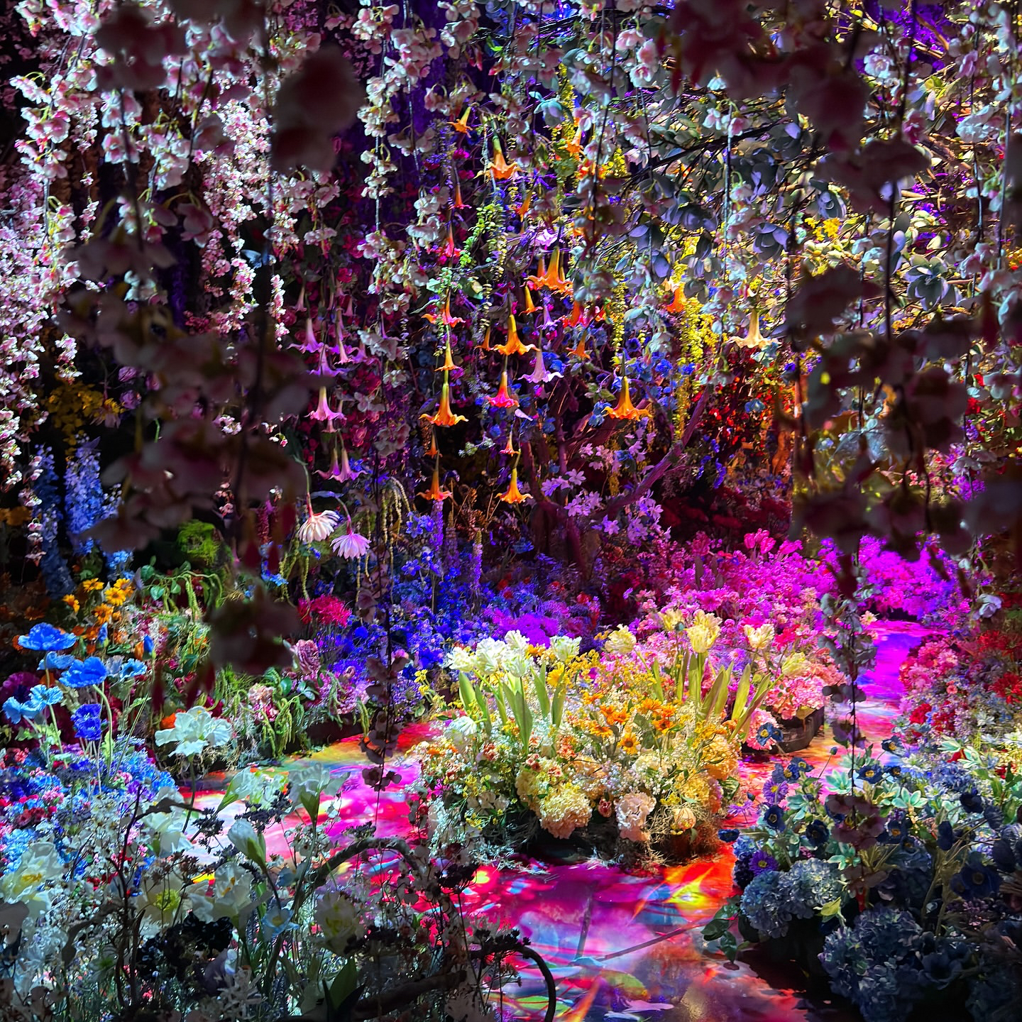 海外最大規模「蜷川實花展」在台灣!睽違10年登台,8大夢幻光影展區搶先看 海外最大規模「蜷川實花展」在台灣!睽違10年登台,8大夢幻光影展區搶先看