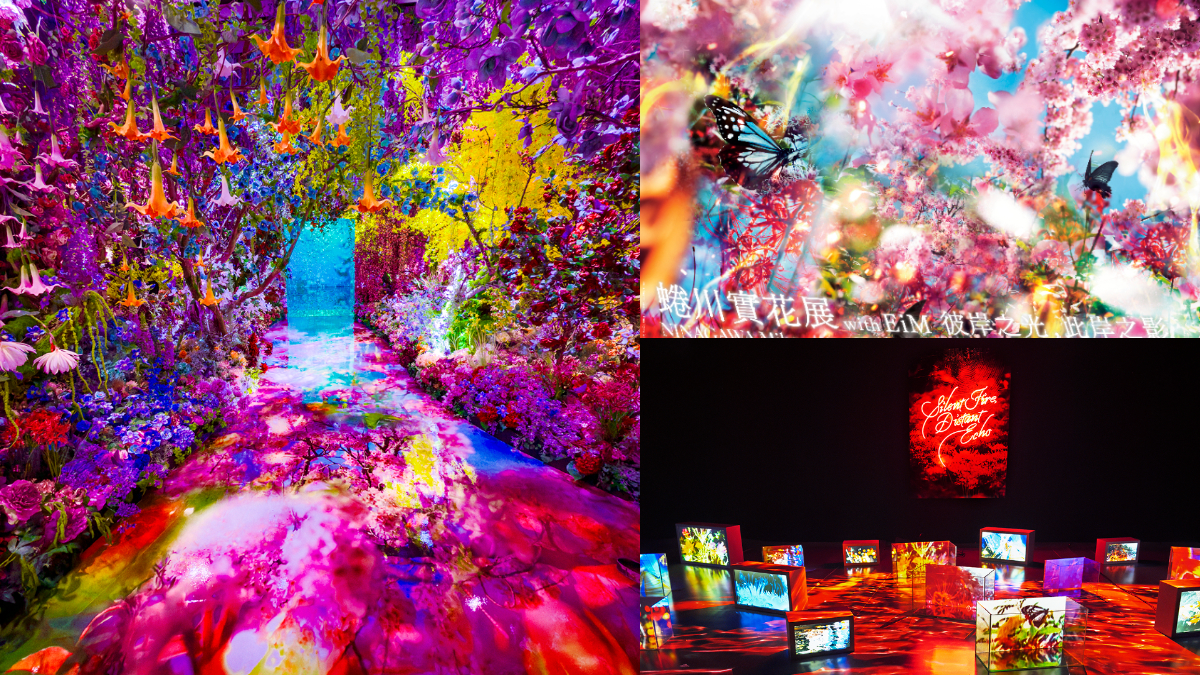 海外最大規模「蜷川實花展」在台灣！睽違10年登台，８大夢幻光影展區搶先看