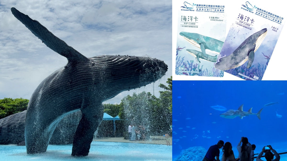屏東海生館25歲了！年票「海洋卡」限時回歸、玩３次回本，11月活動一次看