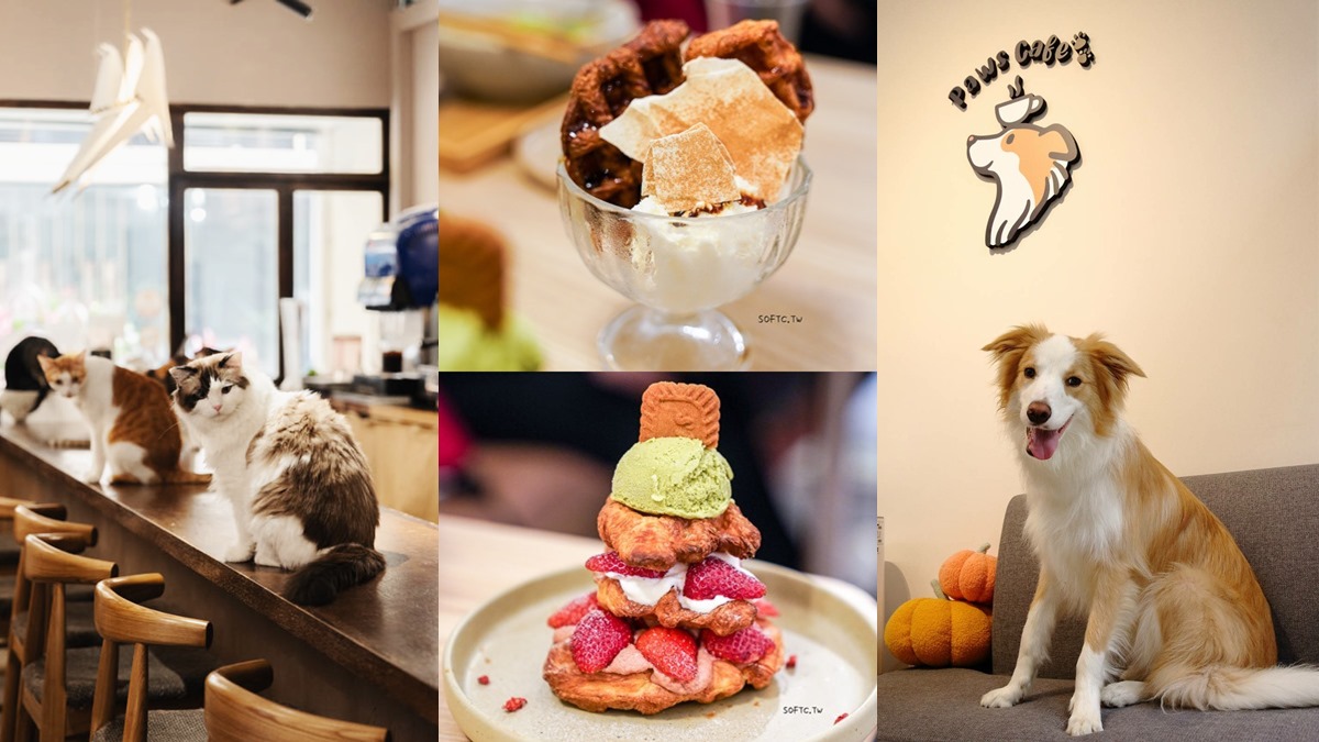 台北寵物友善咖啡廳精選！14家可帶毛孩＋貓狗主題店，加碼寵物餐廳推薦