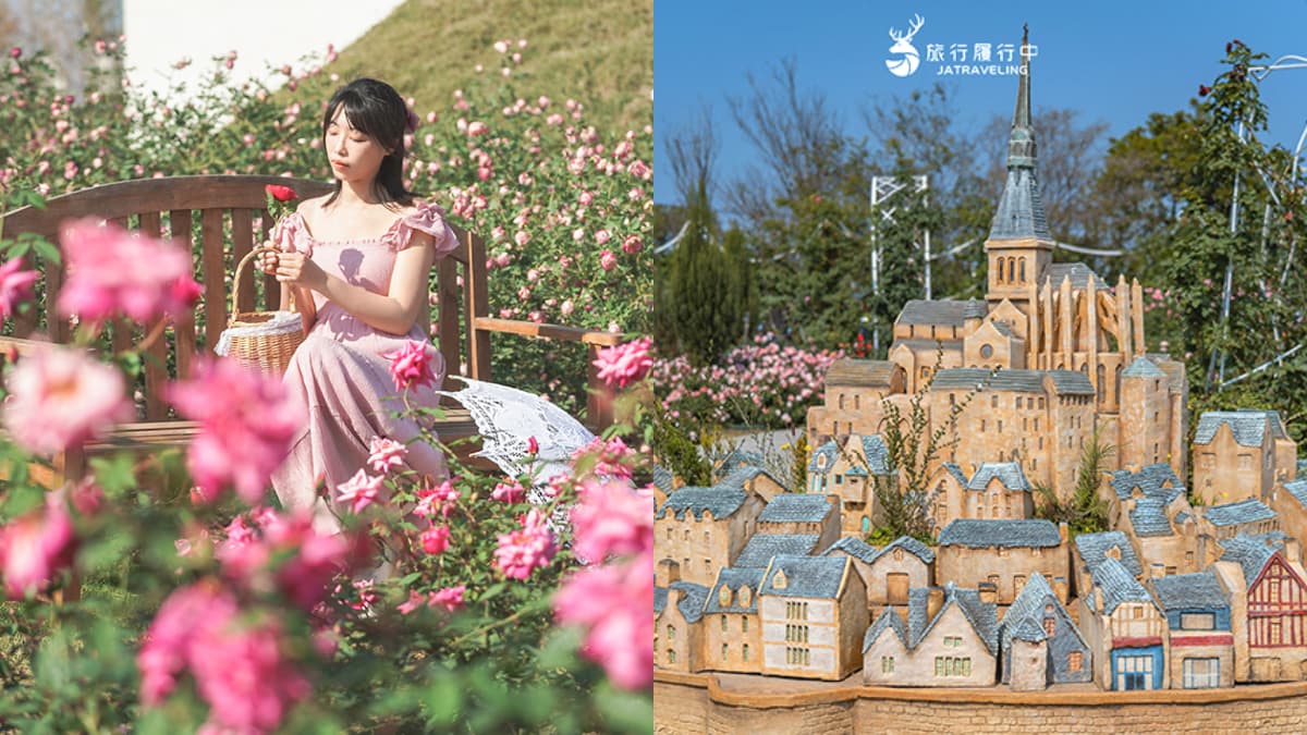 全台最大「玫瑰森林」免費拍！超過20種玫瑰接力綻放，限時１個月打卡必衝