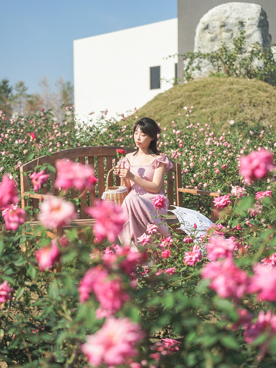 全台最大「玫瑰森林」免費拍!超過20種玫瑰接力綻放,限時1個月打卡必衝 全台最大「玫瑰森林」免費拍!超過20種玫瑰接力綻放,限時1個月打卡必衝