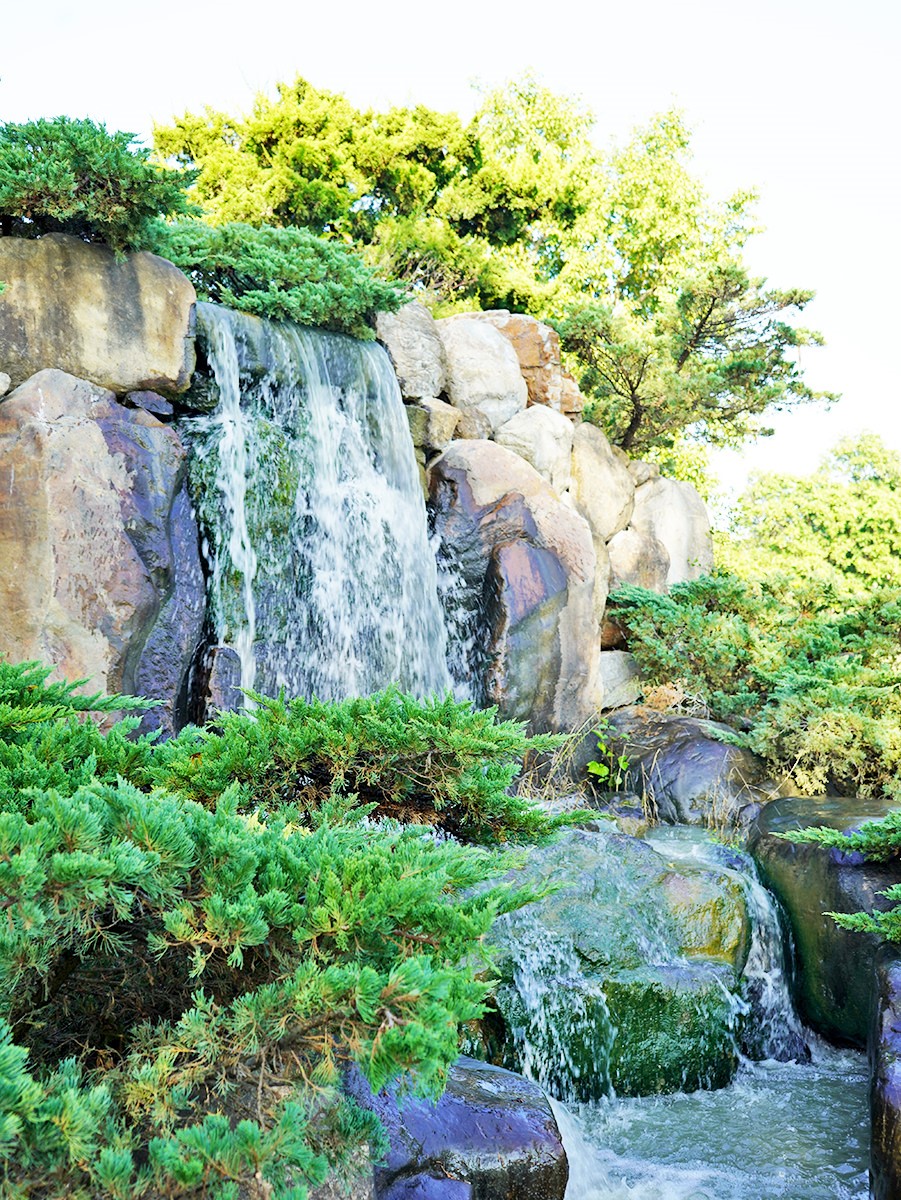 全台最大「玫瑰森林」免費拍!超過20種玫瑰接力綻放,限時1個月打卡必衝 全台最大「玫瑰森林」免費拍!超過20種玫瑰接力綻放,限時1個月打卡必衝