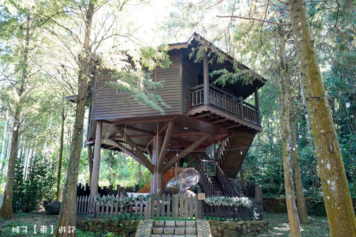 入住全台最夢幻玻璃屋！南投森林系住宿11選，秋冬泡湯、賞落羽松一次滿足