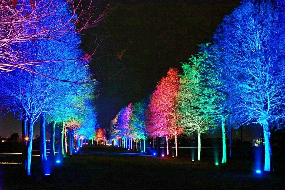 安農溪落羽松｜宜蘭落羽松景點