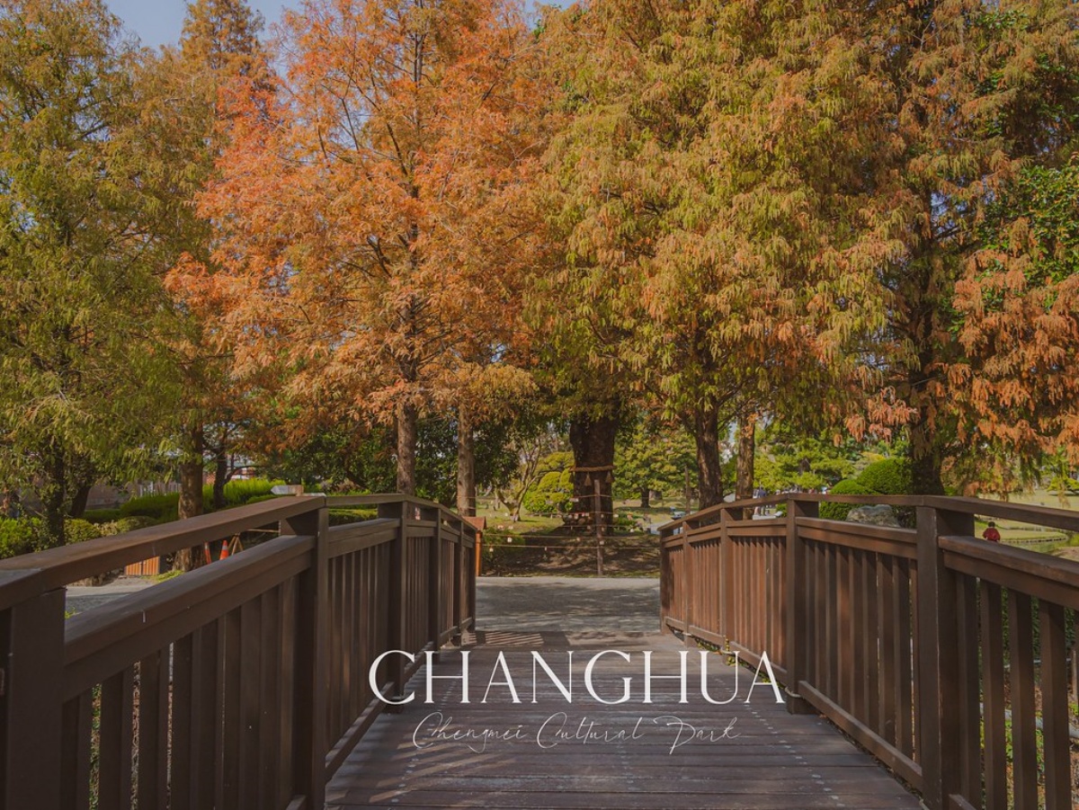 落羽松是什麼？什麼時候會變色？