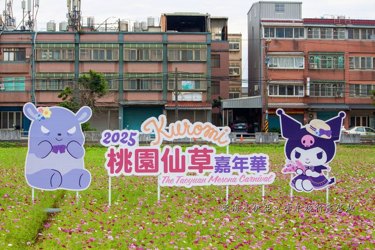 酷洛米出沒桃園!打卡夢幻「台版普羅旺斯」紫色花海,快閃16天免費拍 酷洛米出沒桃園!打卡夢幻「台版普羅旺斯」紫色花海,快閃16天免費拍