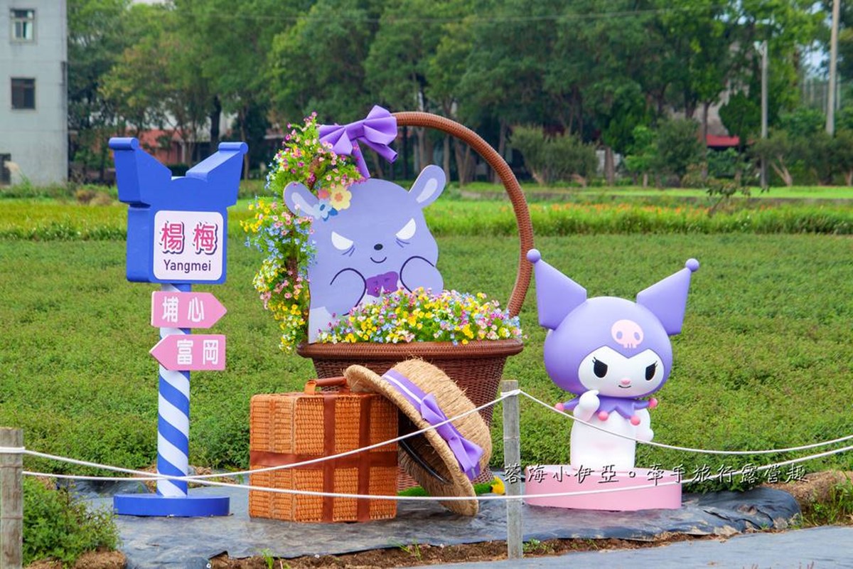 酷洛米出沒桃園!打卡夢幻「台版普羅旺斯」紫色花海,快閃16天免費拍 酷洛米出沒桃園!打卡夢幻「台版普羅旺斯」紫色花海,快閃16天免費拍