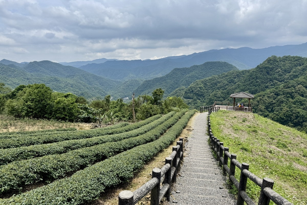 坪林美食之旅一日遊