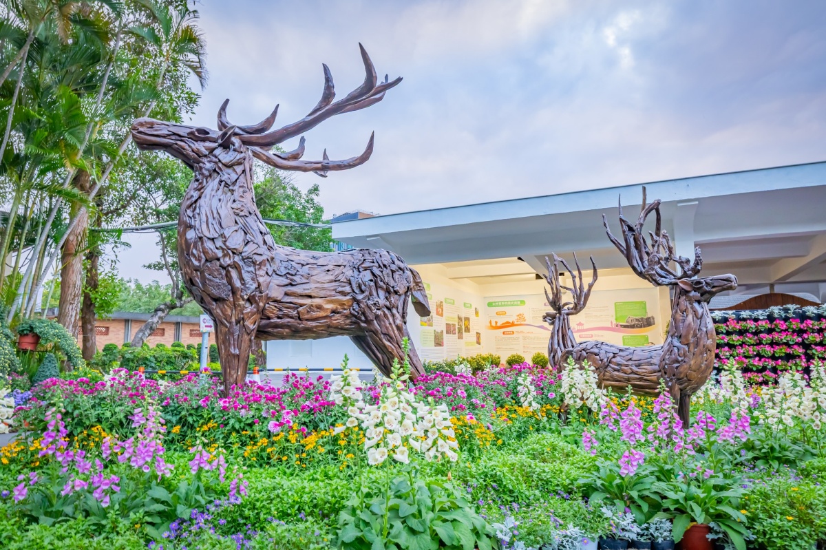 年末最強花海免費逛！「士林官邸菊展」15大展區搶先看，Q萌狐狸神社必拍