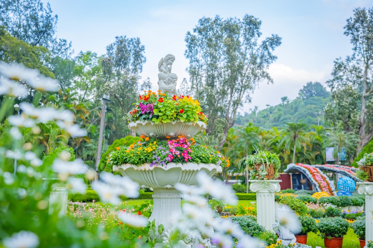 年末最強花海免費逛！「士林官邸菊展」15大展區搶先看，Q萌狐狸神社必拍