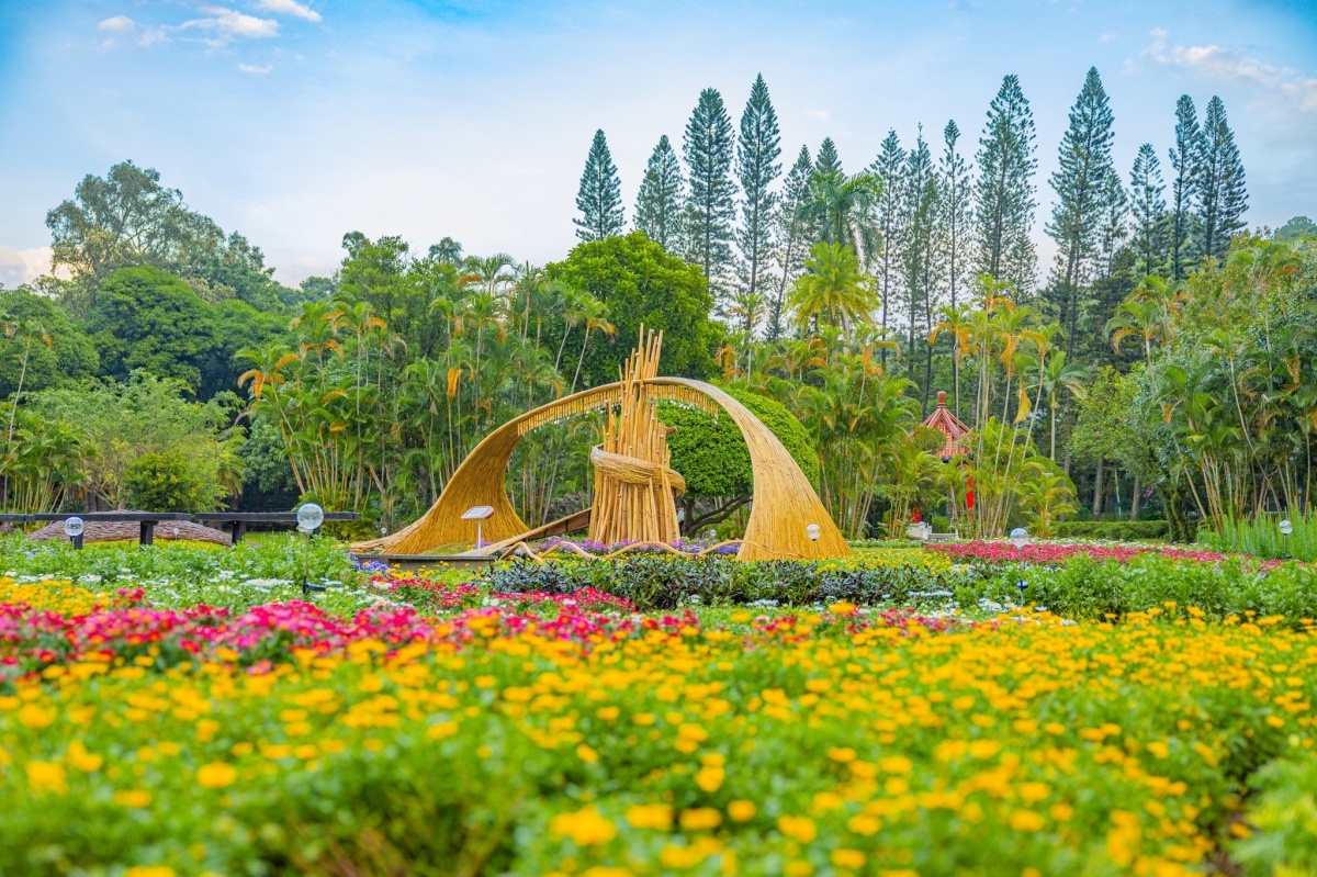 年末最強花海免費逛！「士林官邸菊展」15大展區搶先看，Q萌狐狸神社必拍
