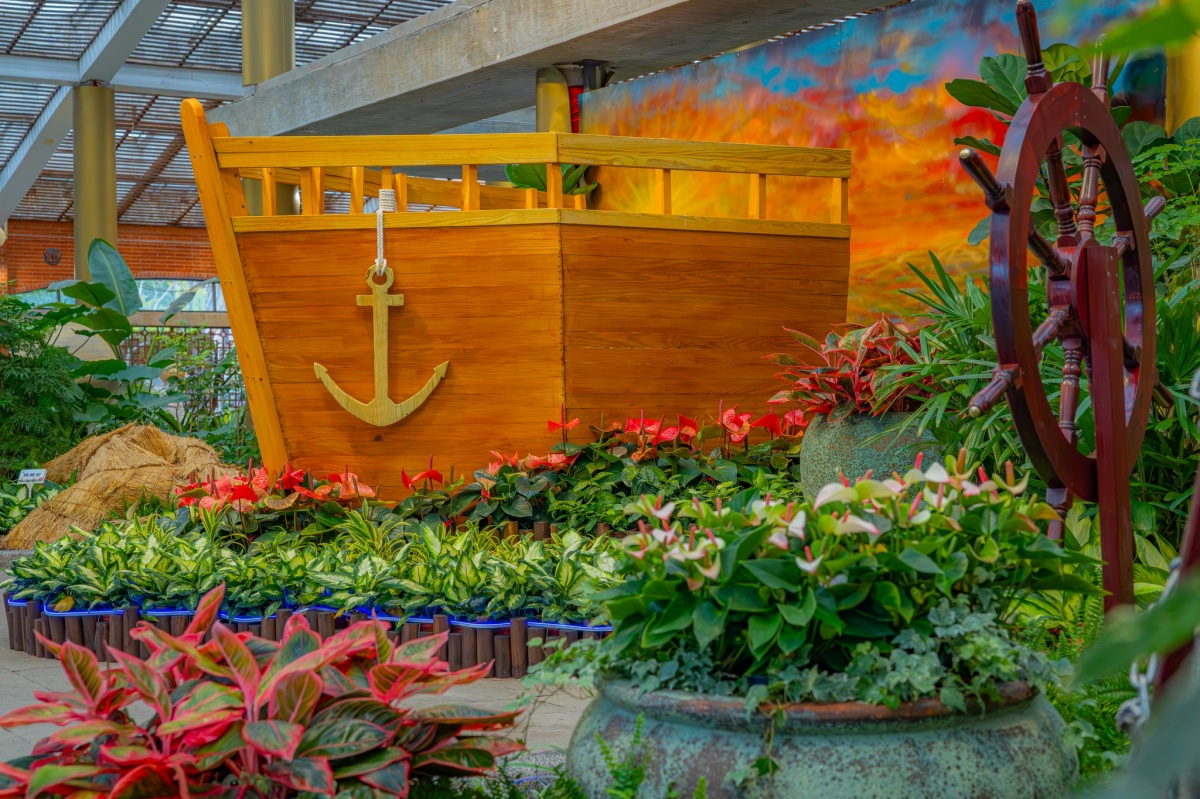 年末最強花海免費逛！「士林官邸菊展」15大展區搶先看，Q萌狐狸神社必拍