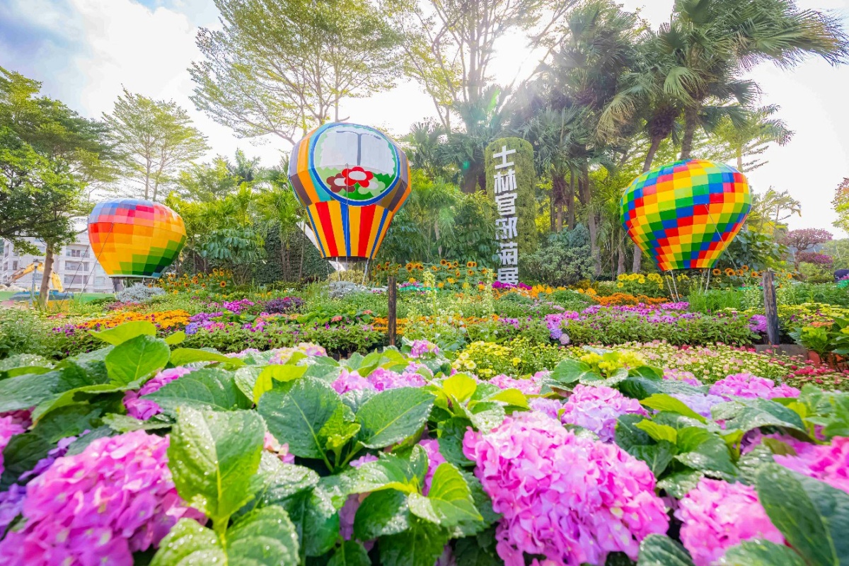 年末最強花海免費逛！「士林官邸菊展」15大展區搶先看，Q萌狐狸神社必拍