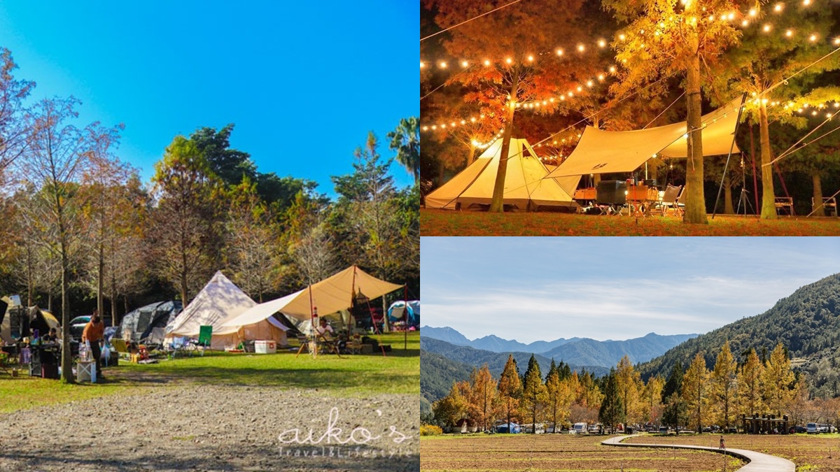 秋冬限定！全台８大絕美落羽松露營秘境，紅葉、星空、溫泉一次滿足