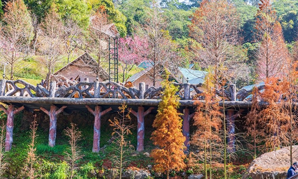 秋冬限定!全台8大絕美落羽松露營秘境,紅葉、星空、溫泉一次滿足 秋冬限定!全台8大絕美落羽松露營秘境,紅葉、星空、溫泉一次滿足