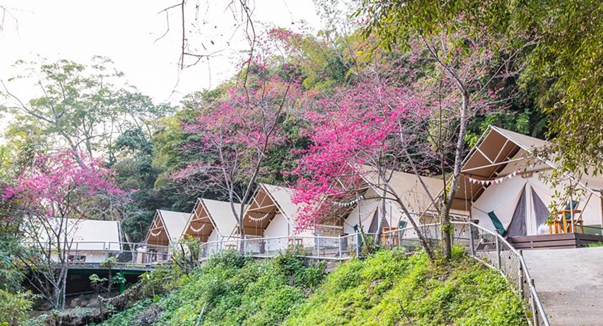 秋冬限定!全台8大絕美落羽松露營秘境,紅葉、星空、溫泉一次滿足 秋冬限定!全台8大絕美落羽松露營秘境,紅葉、星空、溫泉一次滿足