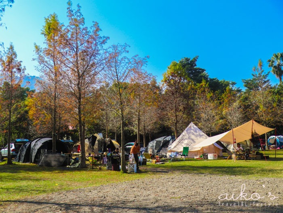 秋冬限定!全台8大絕美落羽松露營秘境,紅葉、星空、溫泉一次滿足 秋冬限定!全台8大絕美落羽松露營秘境,紅葉、星空、溫泉一次滿足