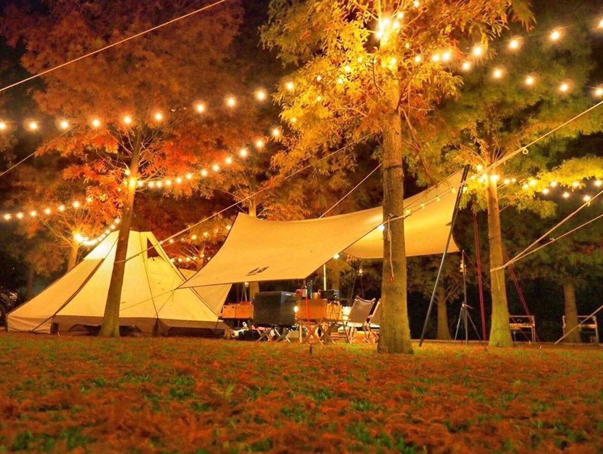 秋冬限定!全台8大絕美落羽松露營秘境,紅葉、星空、溫泉一次滿足 秋冬限定!全台8大絕美落羽松露營秘境,紅葉、星空、溫泉一次滿足