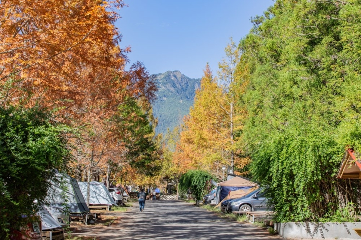 秋冬限定!全台8大絕美落羽松露營秘境,紅葉、星空、溫泉一次滿足 秋冬限定!全台8大絕美落羽松露營秘境,紅葉、星空、溫泉一次滿足