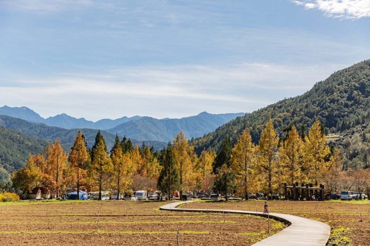 秋冬限定!全台8大絕美落羽松露營秘境,紅葉、星空、溫泉一次滿足 秋冬限定!全台8大絕美落羽松露營秘境,紅葉、星空、溫泉一次滿足