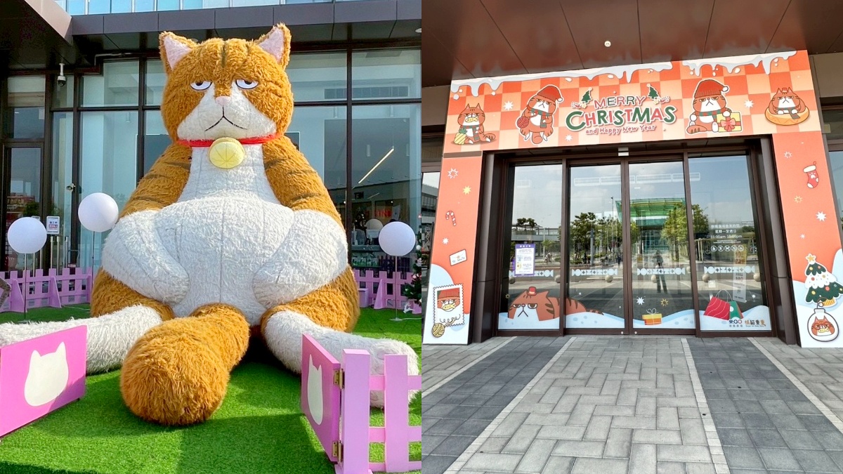 ４米高「厭世橘貓」首度降肉高雄！圓滾滾身材超吸睛，打卡再送限量貼紙