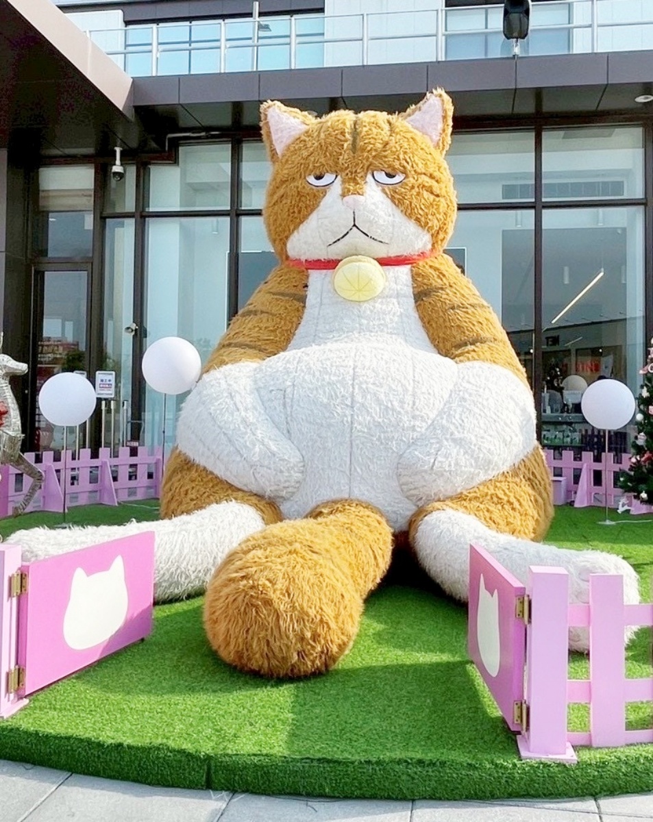 ４米高「厭世橘貓」首度降肉高雄！圓滾滾身材超吸睛，打卡再送限量貼紙