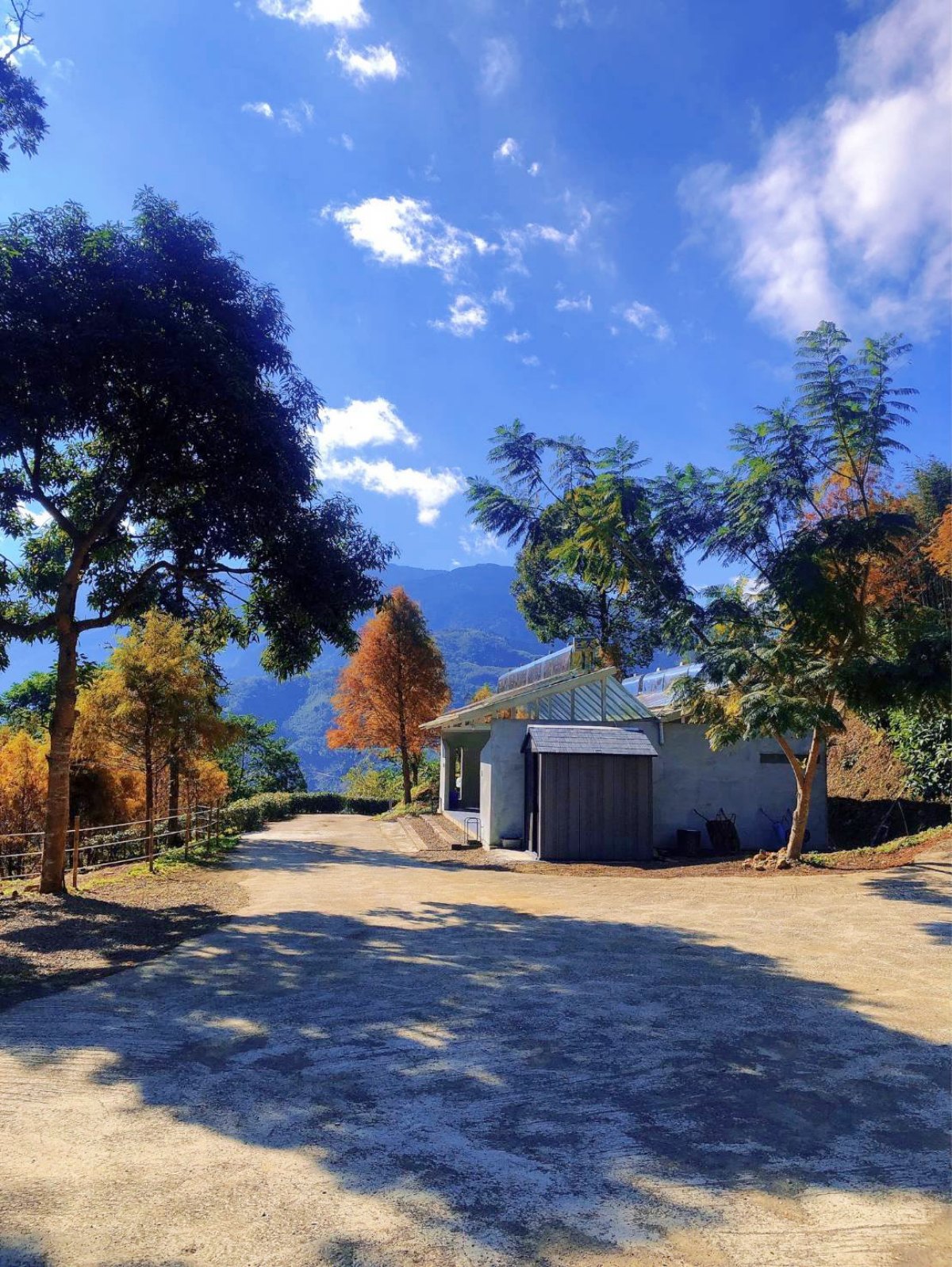 秋冬限定!全台8大絕美落羽松露營秘境,紅葉、星空、溫泉一次滿足 秋冬限定!全台8大絕美落羽松露營秘境,紅葉、星空、溫泉一次滿足