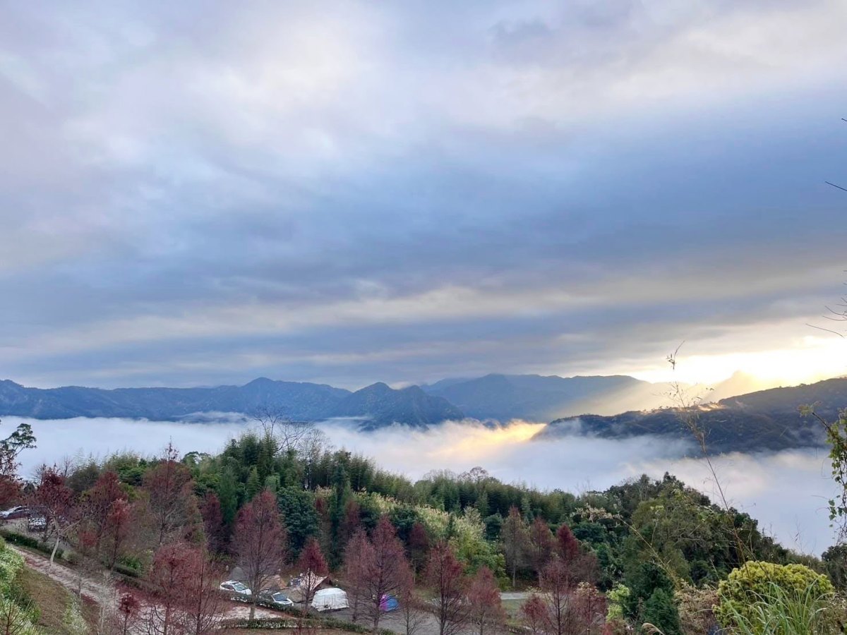 秋冬限定!全台8大絕美落羽松露營秘境,紅葉、星空、溫泉一次滿足 秋冬限定!全台8大絕美落羽松露營秘境,紅葉、星空、溫泉一次滿足