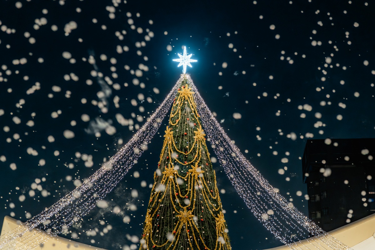 26米星光聖誕樹點燈!「2025高雄聖誕生活節」開跑,免費演唱會陣容超豪華 26米星光聖誕樹點燈!「2025高雄聖誕生活節」開跑,免費演唱會陣容超豪華