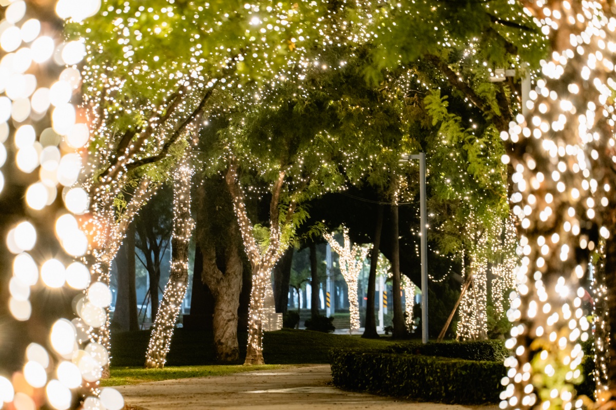 26米星光聖誕樹點燈!「2025高雄聖誕生活節」開跑,免費演唱會陣容超豪華 26米星光聖誕樹點燈!「2025高雄聖誕生活節」開跑,免費演唱會陣容超豪華