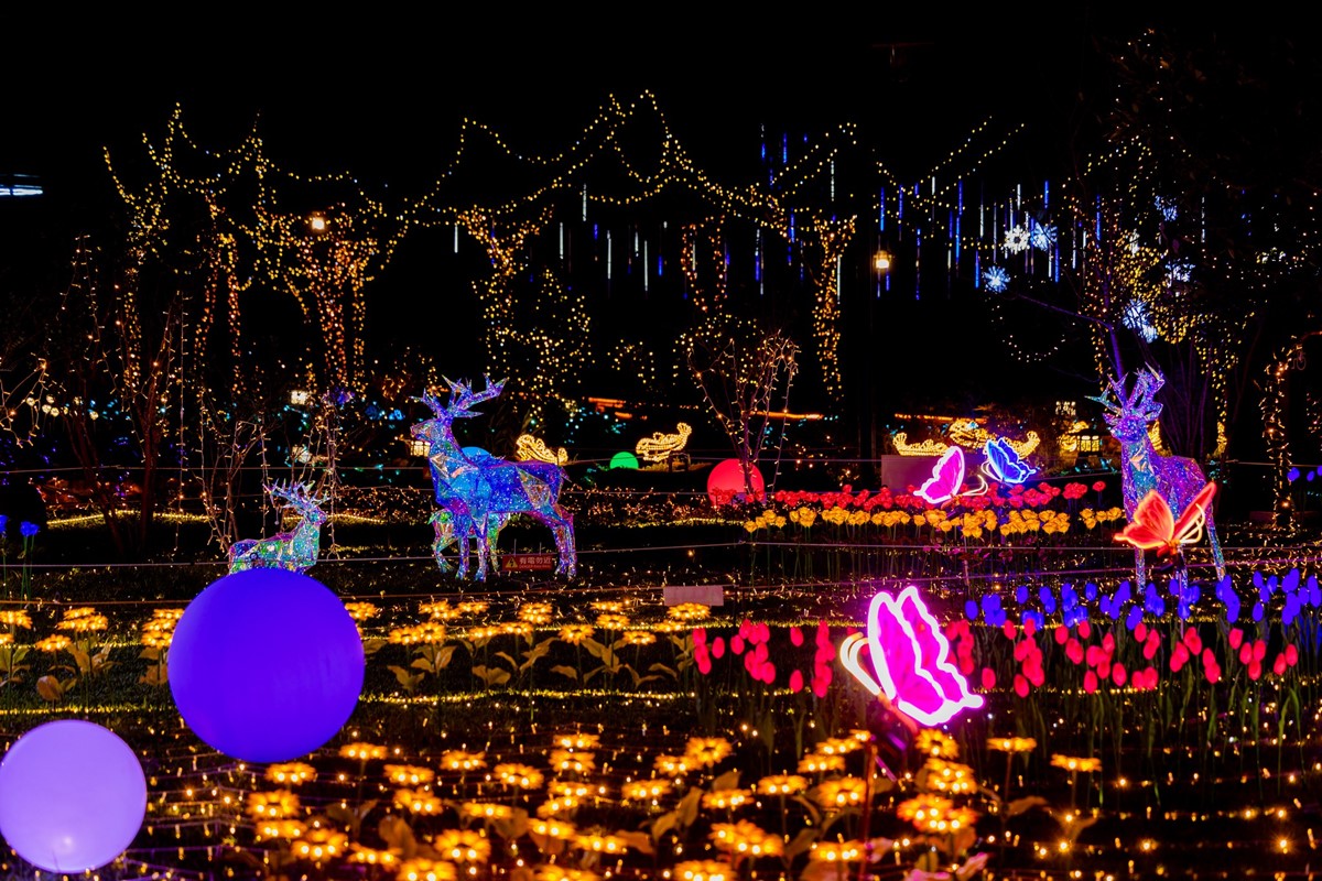全台海拔最高聖誕樹「這天」點燈！2025山谷燈光節開跑，美拍雲端上的祕境