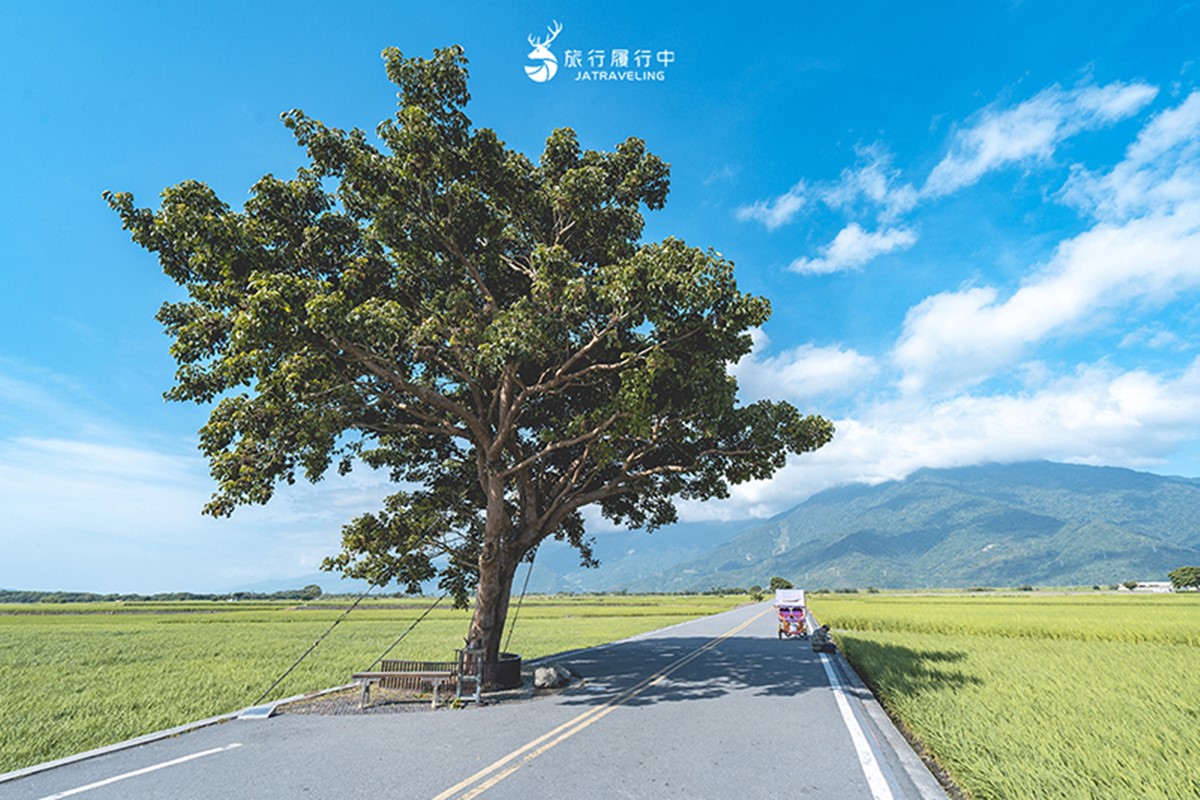 年度最大流星雨將登場!「藍皮解憂號x觀星巴士」行程開搶,山海美景一次收 年度最大流星雨將登場!「藍皮解憂號x觀星巴士」行程開搶,山海美景一次收