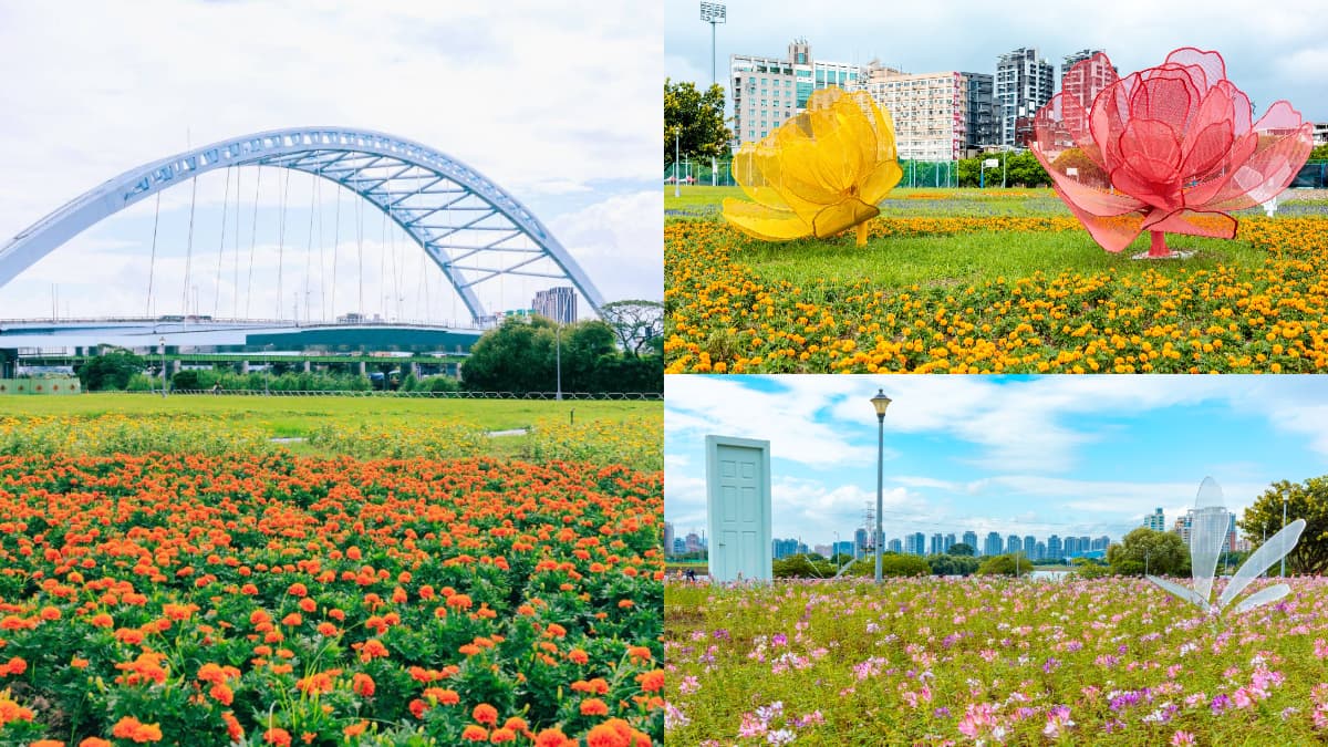 免費賞花景點！「台北中正河濱公園」花海倒數中，13萬盆彩色花朵綻放