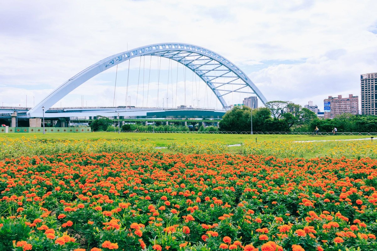 免費賞花景點!「台北中正河濱公園」花海倒數中,13萬盆彩色花朵綻放 免費賞花景點!「台北中正河濱公園」花海倒數中,13萬盆彩色花朵綻放
