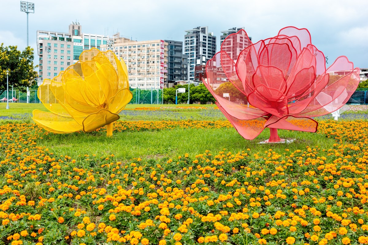 免費賞花景點!「台北中正河濱公園」花海倒數中,13萬盆彩色花朵綻放 免費賞花景點!「台北中正河濱公園」花海倒數中,13萬盆彩色花朵綻放