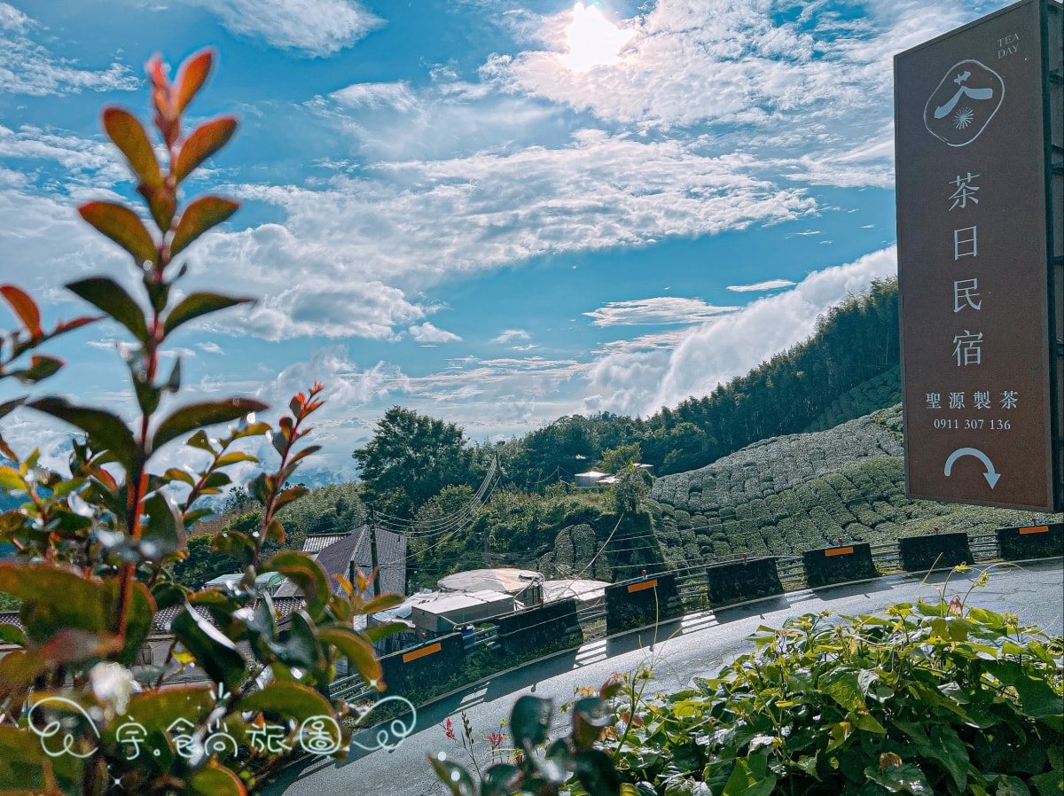 睡醒就是雲海！阿里山４家民宿「茶園第一排」看日出，加碼５間嘉義親子包棟玩瘋