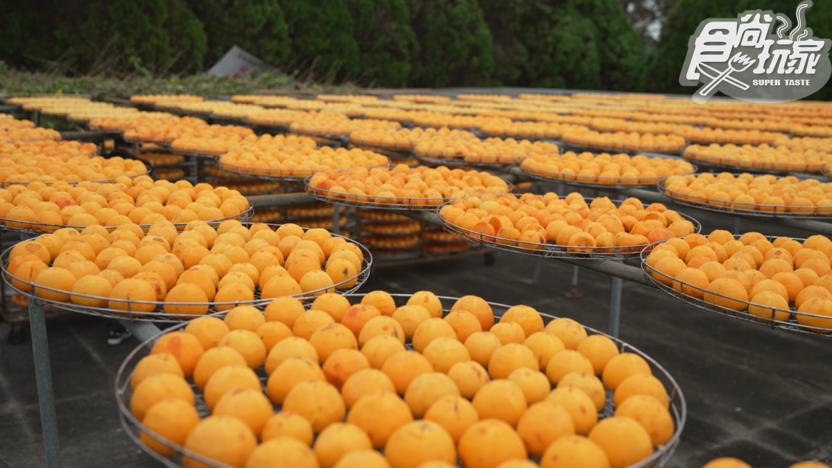 超獨特客家「福菜水餃」！林襄、張再興吃苗栗美食｜12/18《天菜就醬吃》店家資訊