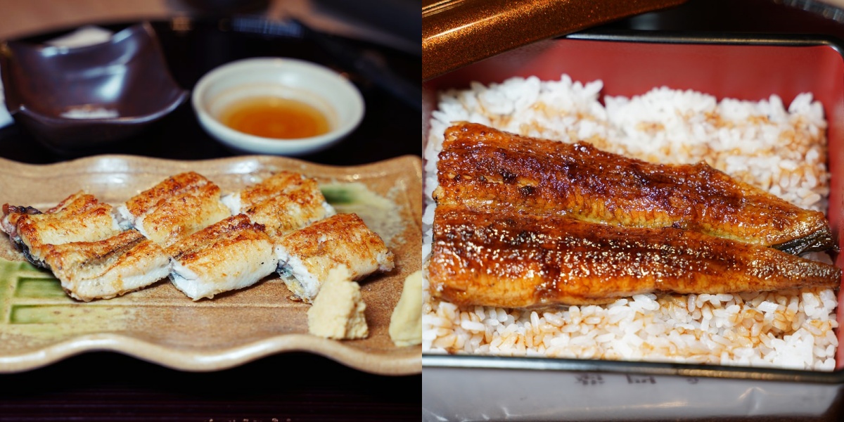 白燒 vs 蒲燒鰻魚差異