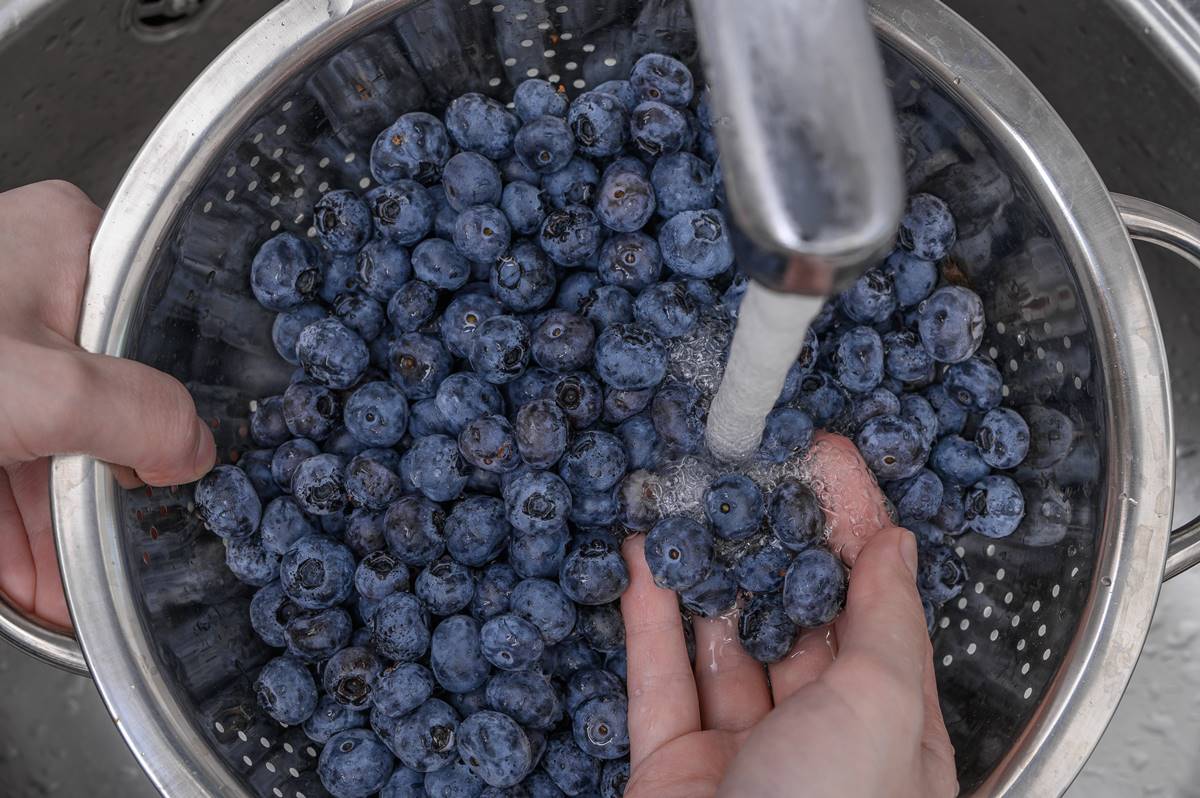 洗藍莓別再泡鹽水!專家教1招去除農藥、徹底洗淨,加碼吃藍莓禁忌好處 洗藍莓別再泡鹽水!專家教1招去除農藥、徹底洗淨,加碼吃藍莓禁忌好處