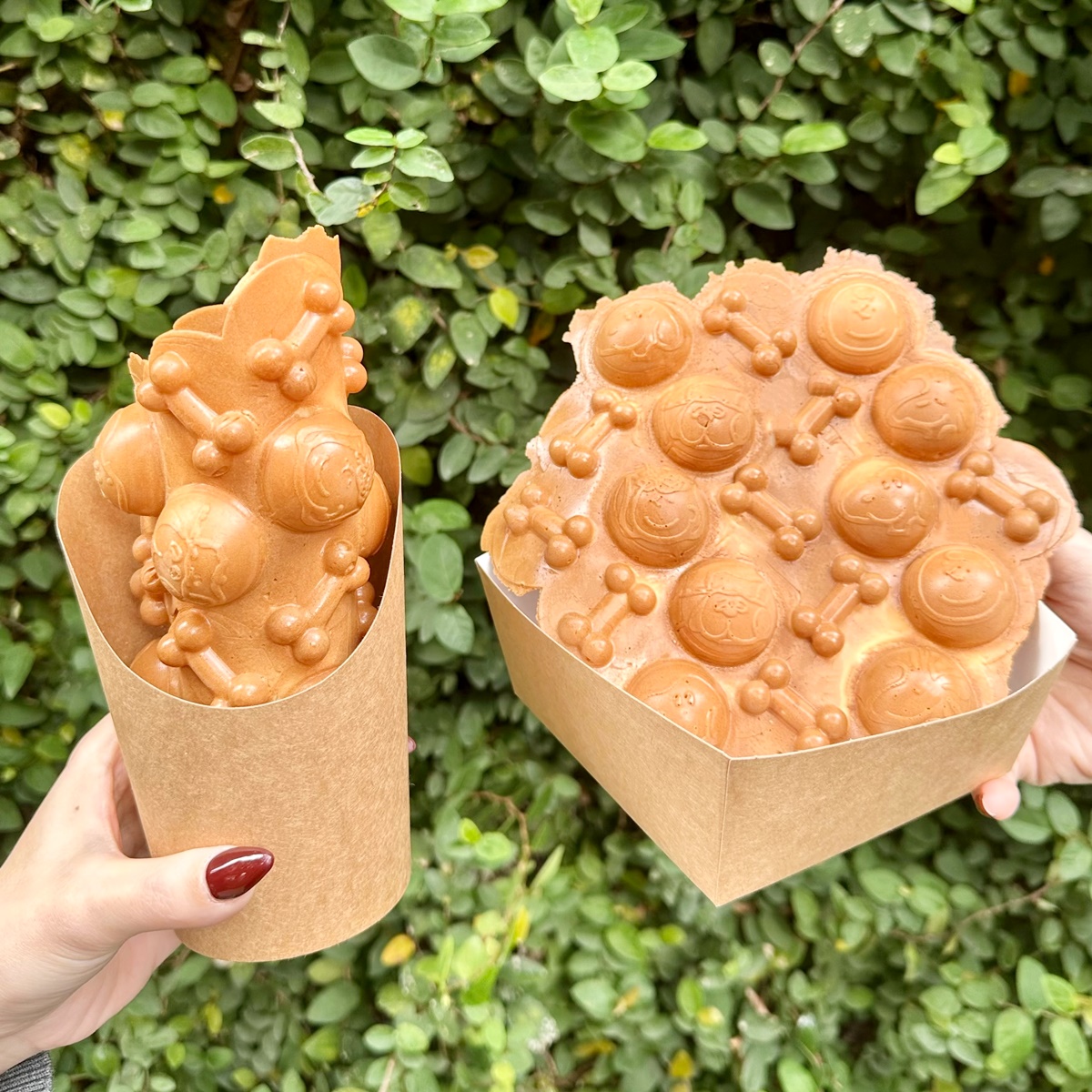 馬年史努比、歐拉夫菠蘿油!免費逛「史努比花生茶飲快閃店」,12款周邊推薦 馬年史努比、歐拉夫菠蘿油!免費逛「史努比花生茶飲快閃店」,12款周邊推薦