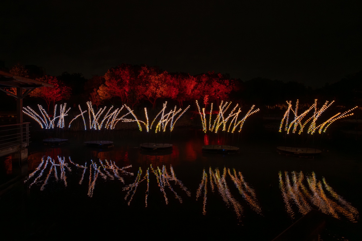 新竹最美「光影藝術節」回來了!免費逛到明年,打卡送星星手燈、假日有市集 新竹最美「光影藝術節」回來了!免費逛到明年,打卡送星星手燈、假日有市集