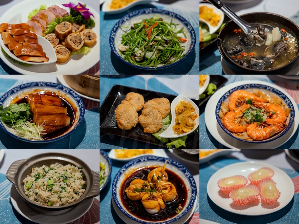 北台灣首間「溫泉懶人露營」！爽泡陽明山天然牛奶湯，享受一泊二食療癒假日