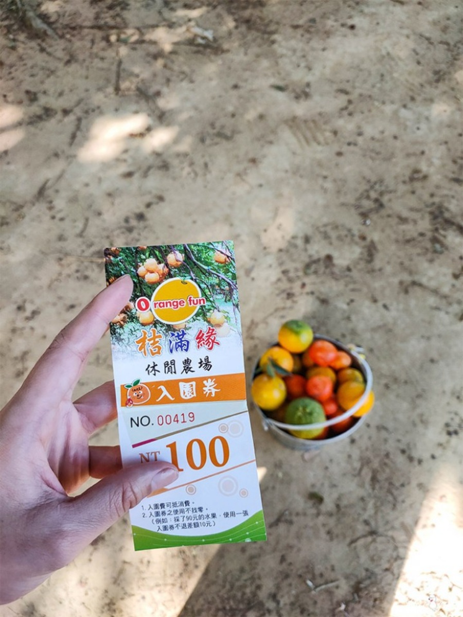 100元橘子吃到飽！美拍「台版濟州島」柑橘森林，入園方式、必吃品種看這篇