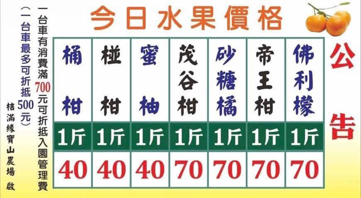 100元橘子吃到飽！美拍「台版濟州島」柑橘森林，入園方式、必吃品種看這篇