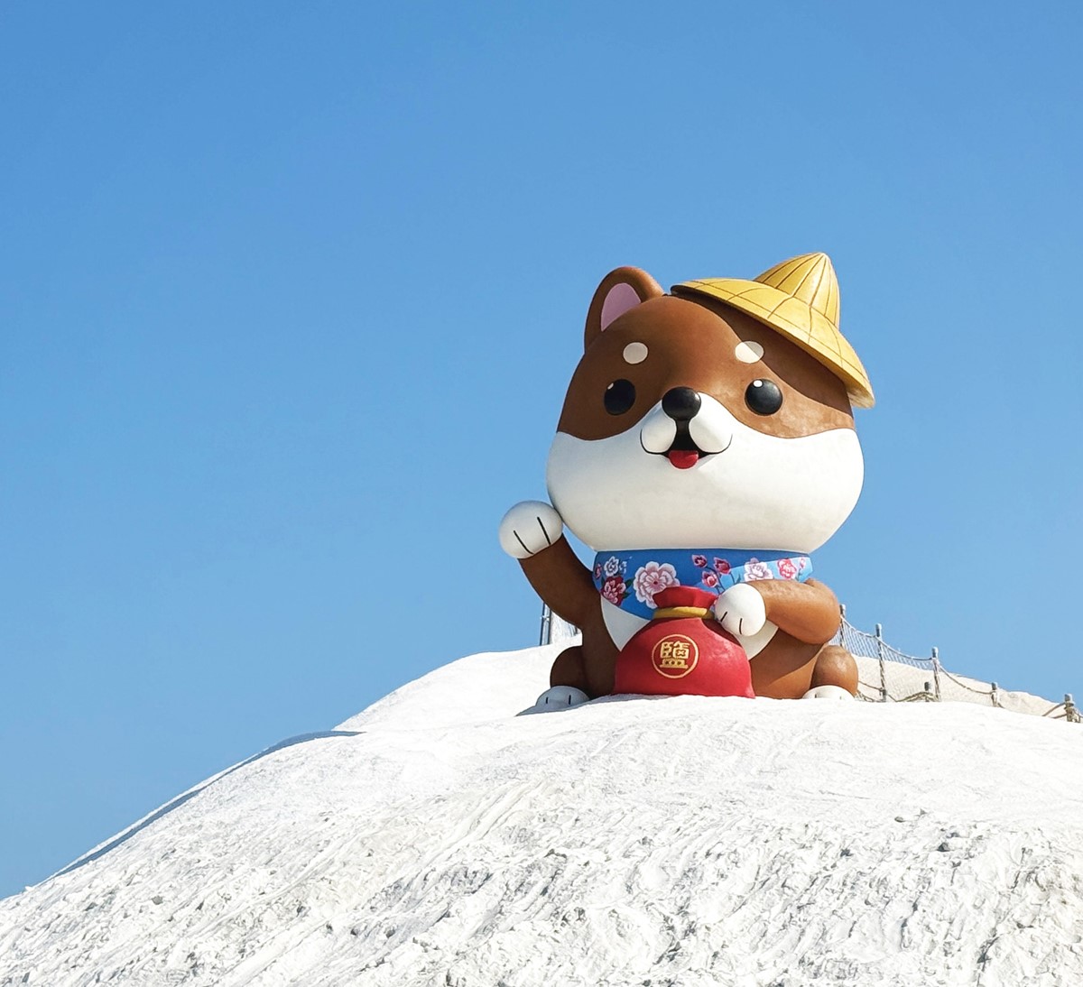 ６公尺「巨大柴柴」出沒台南！打卡偽出國雪山美景，可愛柴犬遍布園區萌翻天