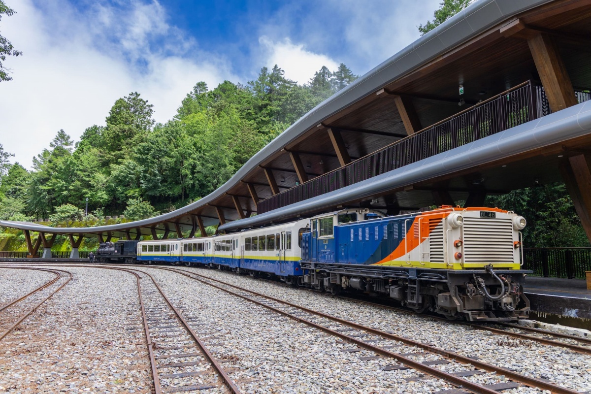 2026賞櫻行程開搶！阿里山跟團送「台灣燈會瑪利歐提燈」，武陵農場保證入園