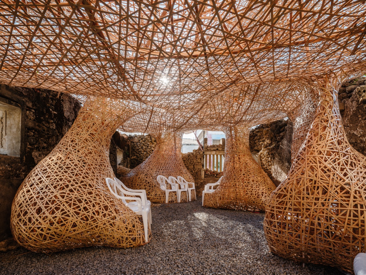 打卡南台灣最Ｑ「貓貓小鎮」！連續３個月免費拍，３大展區亮點一次看