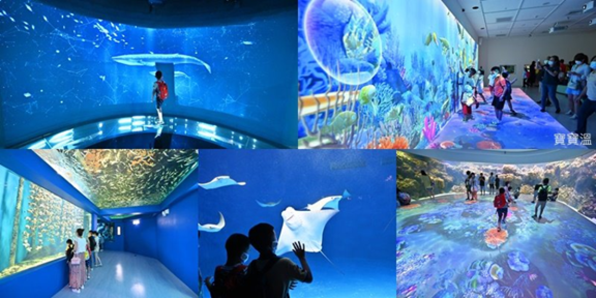 2026桃園景點推薦Top20：一日遊行程、桃園觀光工廠、室內親子景點